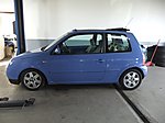 Lupo