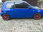 Lupo