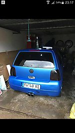 Lupo