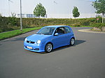 Timmey's Lupo