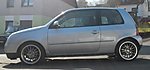 Lupo
