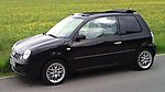 Lupo