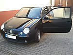 Lupo
