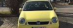 Lupo
