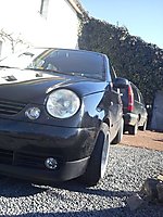 Lupo