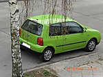 Lupo