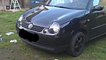 Lupo