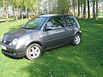 Lupo