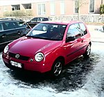 Lupo