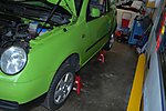 Lupo