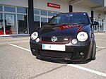 Lupo