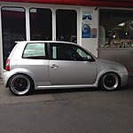 Lupo