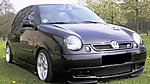 Lupo