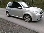 Lupo