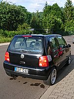 Lupo