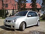 Lupo