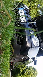 Lupo