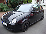 Lupo