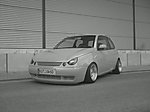 LUPO60's Lupo