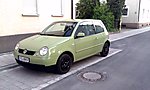 Lupo