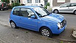 Lupo