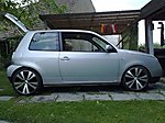 Lupo