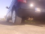 Lupo