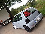 Lupo