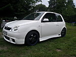 Lupo