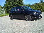 Lupo