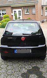 Lupo