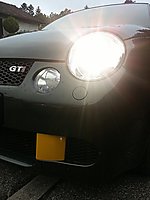 Lupo