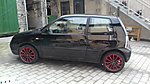 Lupo
