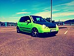 Lupo
