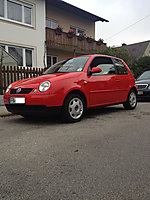 Lupo