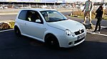 Lupo