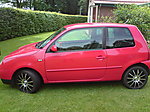 Lupo