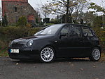 lupogirl19's Lupo