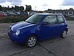 Lupo