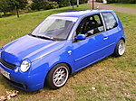 Mäges's Lupo