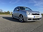 Lupo