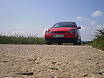 Lupo