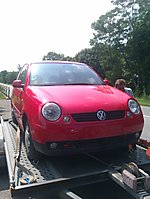 LuckyLup91's Lupo