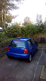 Lupo