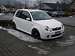 Lupo