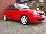 Lupo