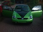 Lupo