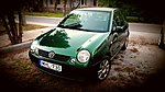 Lupo