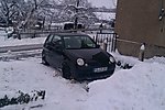Lupo