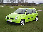 Gompf's Lupo